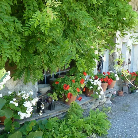 Domaine De La Safraniere -
